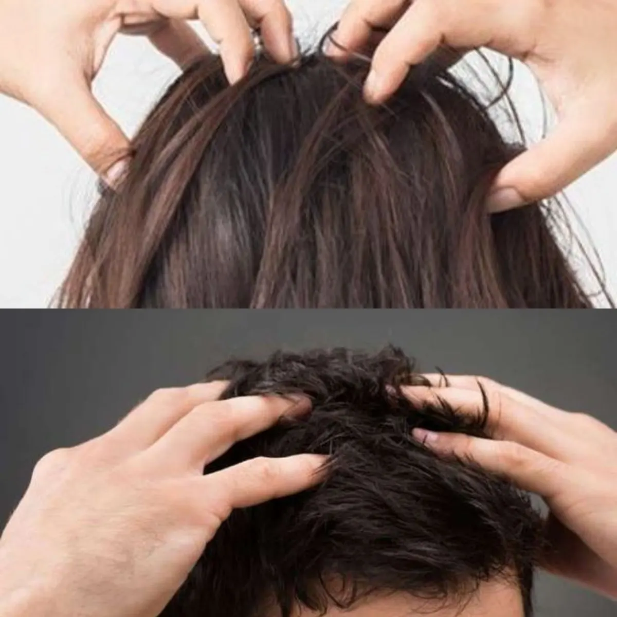 rambut pria dan wanita